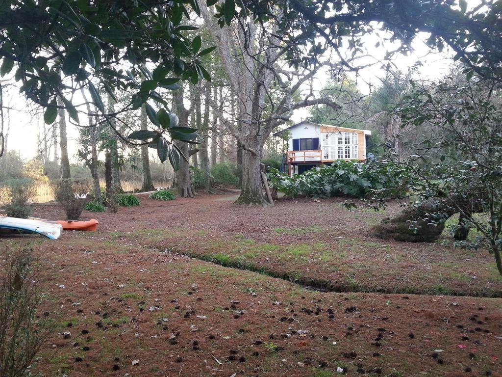 Villa Casa Del Bosque à Tigre Extérieur photo