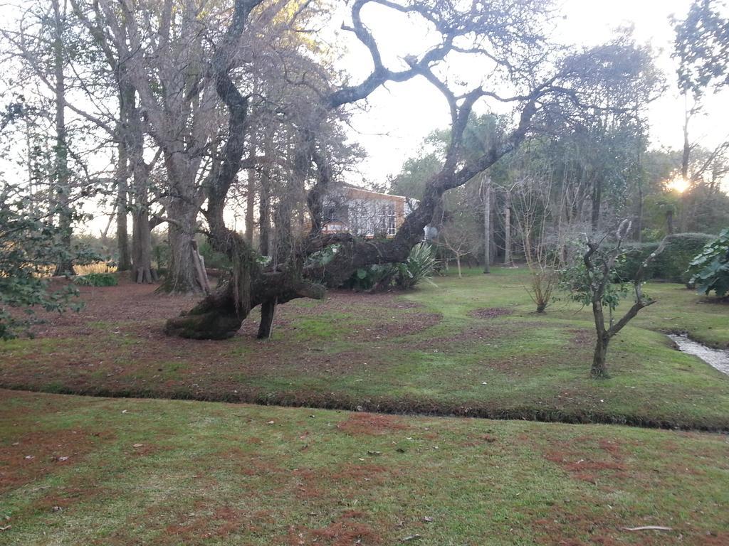 Villa Casa Del Bosque à Tigre Extérieur photo